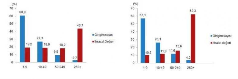 Girişim Özelliklerine Göre Dış Ticaret İstatistikleri, 2019